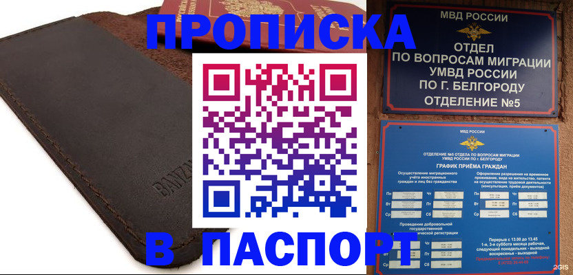 временная регистрация гарантия в Майкопе